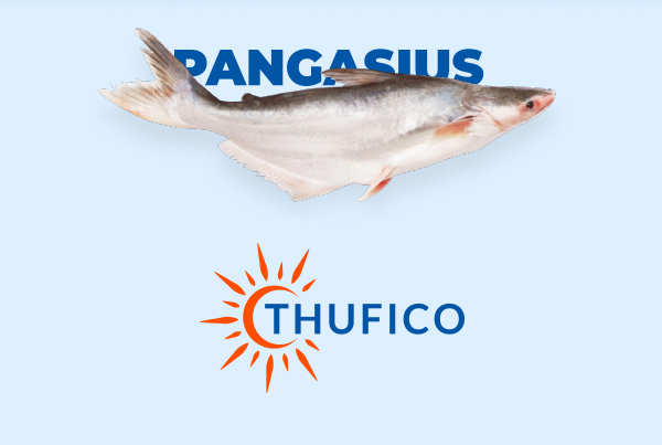Thufico logo & website